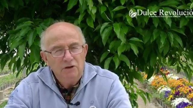 Josep Pàmies / DOLÇA REVOLUCIÓ