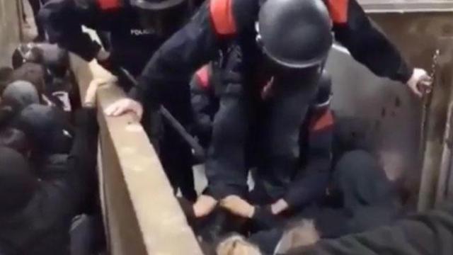 Denuncian la actuación de un 'mosso' para reducir a un animalista / CG