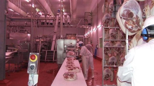Trabajadores de la industria cárnica / EUROPA PRESS