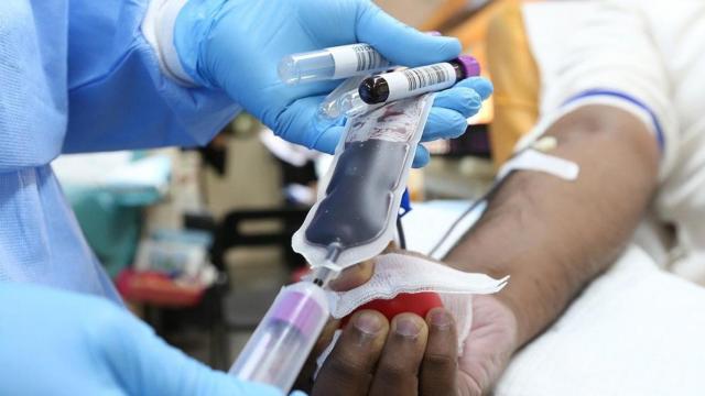 Un sanitario realiza una transfusión de sangre a un paciente / PIXABAY