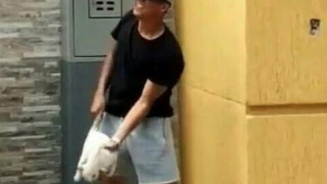 David Barreto, uno de los jugadores, maltrata a un gato antes de lanzarlo por una ventana