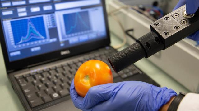 Un ejemplo de solución tecnológica en la digitalización de la industria agroalimentaria / EUROPA PRESS