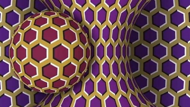 La imagen compartida por la neurocientífica Alicia Proverbio que descoloca a miles de personas en Twitter / Twitter