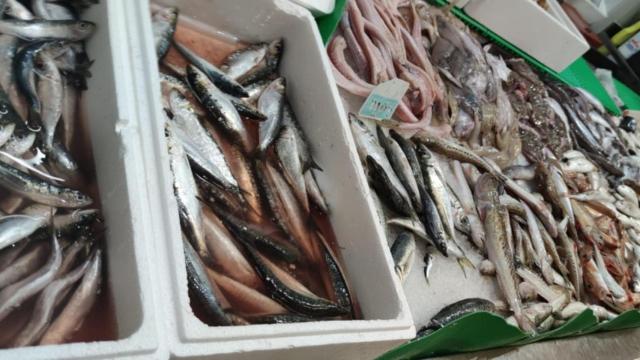 Pescado en mal estado en Lleida / TWITTER