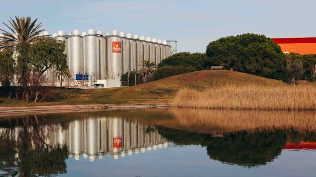 Planta de Damm en el Prat de Llobregat / DAMM