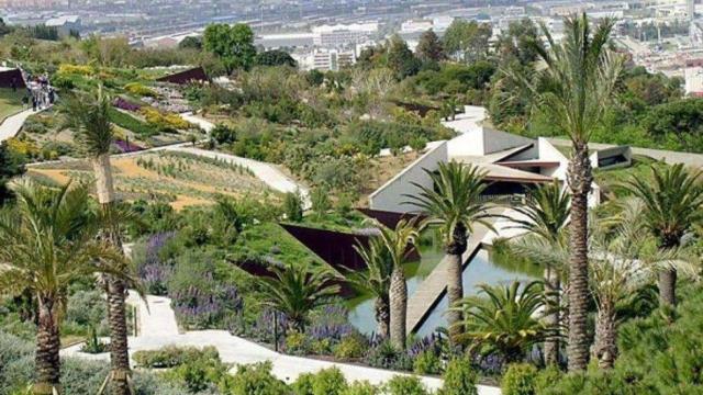 Jardines botánicos de Montjuïc / ARCHIVO