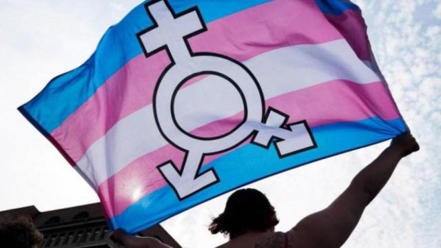 Una persona con una bandera del colectivo trans / EFE