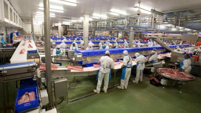 Planta de elaboración de productos de cárnicas Baucells / BAUCELLS