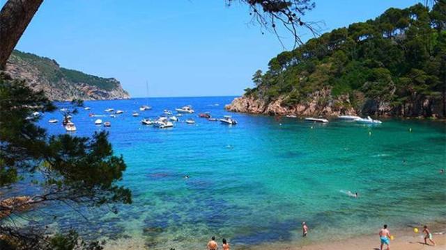 Playa en la Costa Brava / TRIPADVISOR