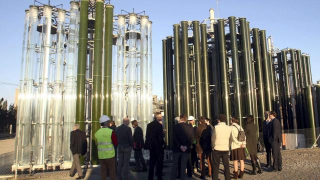 Instalación industrial de Bio Fuel Systems / CG