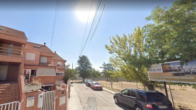 Calle de Pozuelo con un árbol centenario