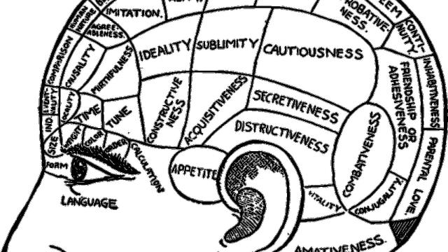 Representación de un cerebro