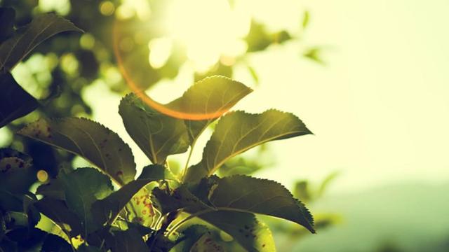 Las políticas de eficiencia energética ofrecen muchas ventajas a las empresas / ARCHIVO