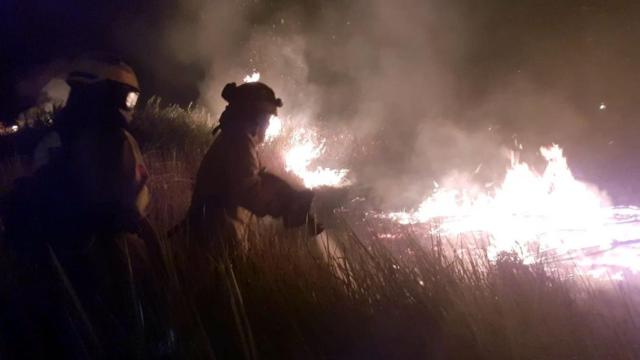 Bomberos forestales del Plan Infoca trabajan en el incendio de Bonares (Huelva) / EP