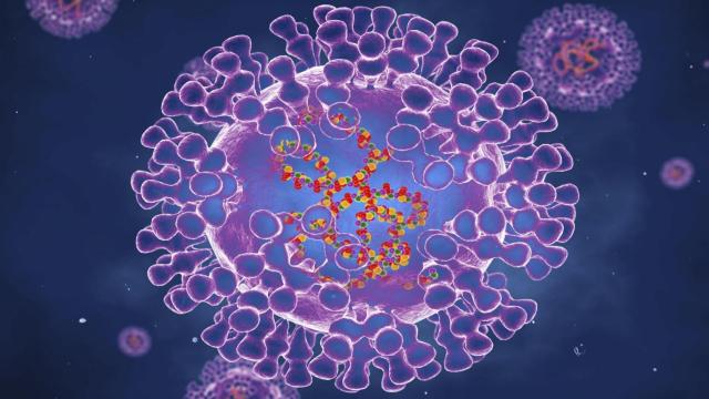 Virus de la viruela del mono / RRSS