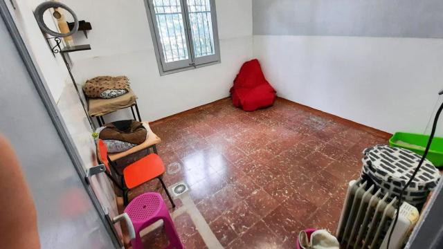 Imagen de un domicilio preparado para acoger gatos de Advam / Cedida