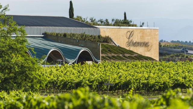 Una zona de viñedos de la bodega Gramona / TWITTER