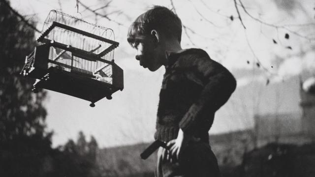 Albert Xirau con un pájaro, 1932-1936. Archivo Mey Rahola / HEREDEROS DE MEY RAHOLA