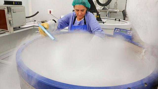 Imagen de una operaria del Banco de Sangre y Tejidos (BST) / Cedida