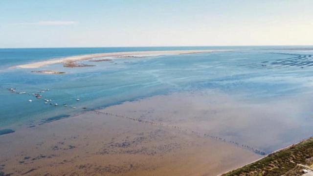 Cadena humana en defensa del Delta del Ebro / MOLDE