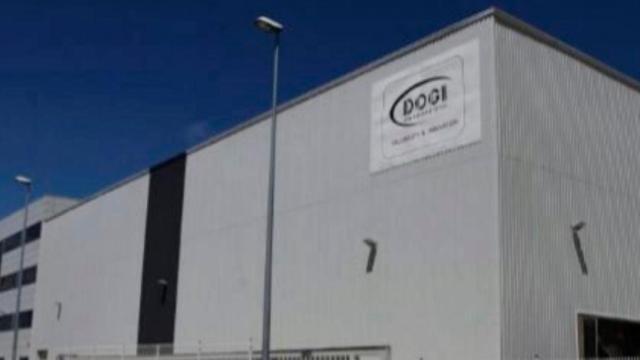 Nave industrial de Dogi