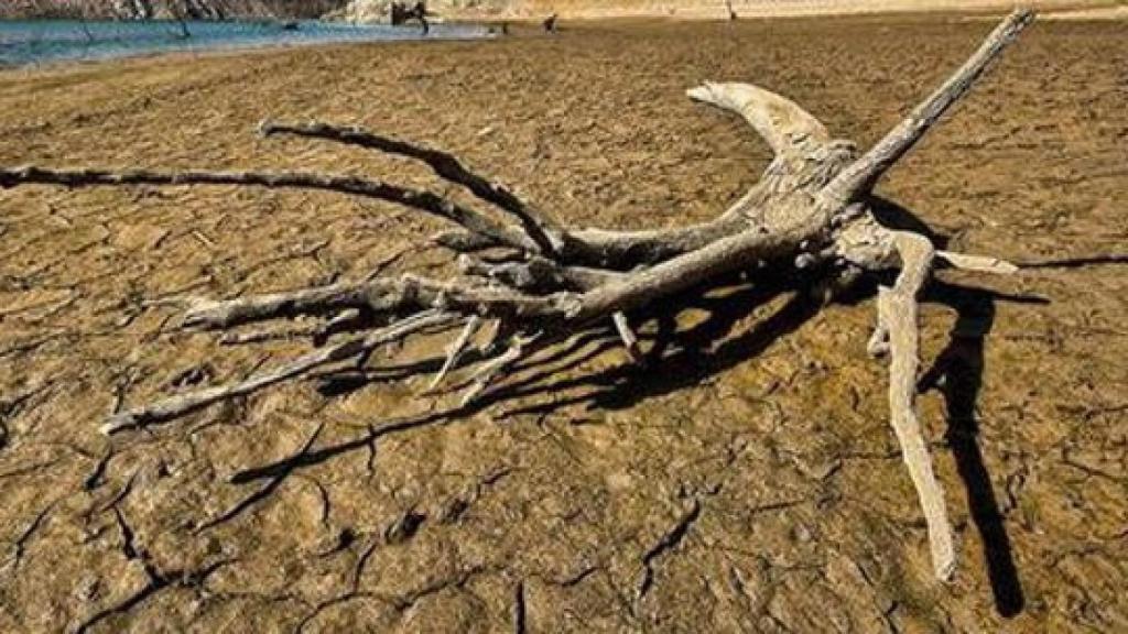 El Ministerio de Agricultura, Alimentación y Medio Ambiente impulsará en 2015 las políticas de adaptación al cambio climático en España