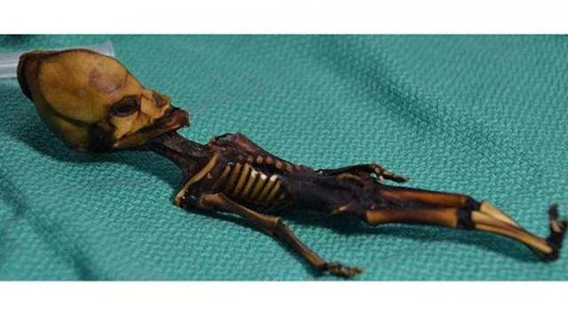 Una foto de archivo del 'alien' de Atacama