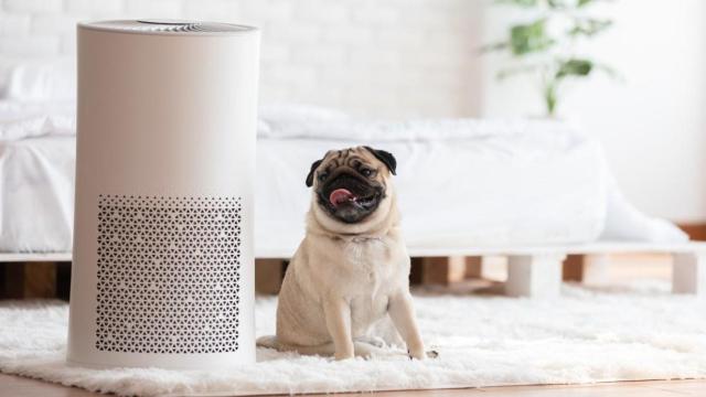Los mejores purificadores para limpiar el aire de tu hogar / ARCHIVO