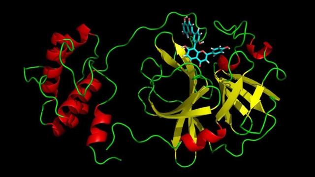 Proteínas del SARS-CoV-2, que tiene un papel esencial en la replicación y transmisión del virus que causa el Covid / UB