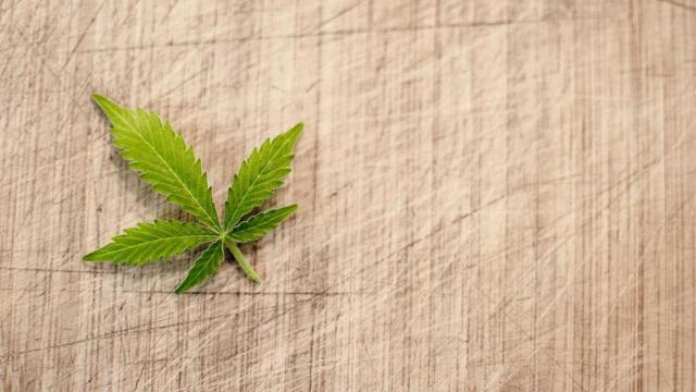 Hoja de marihuana / PIXABAY