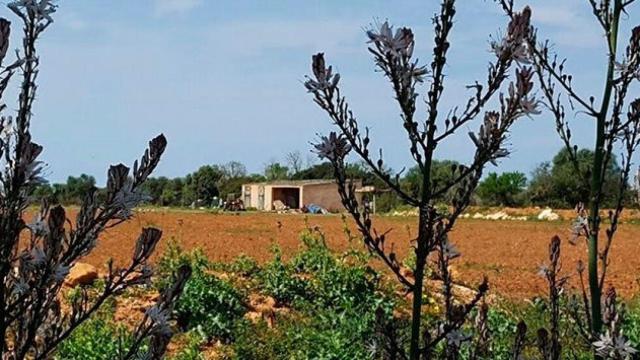 Lugar de Mallorca donde fueron encontrados los cadáveres de la mujer ahorcada y el bebé asesinado por esta