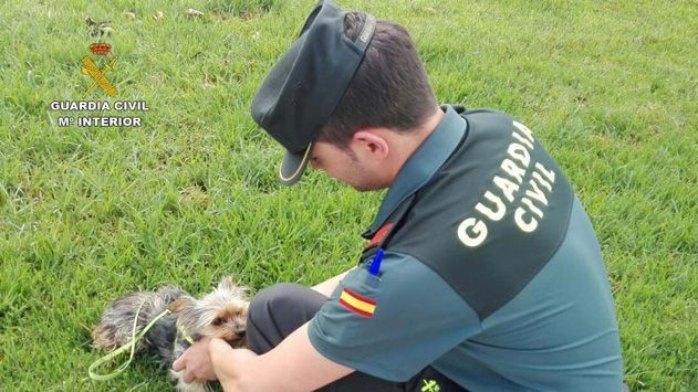 Un agente de la Guardia Civil acaricia a una cría de perro / CD