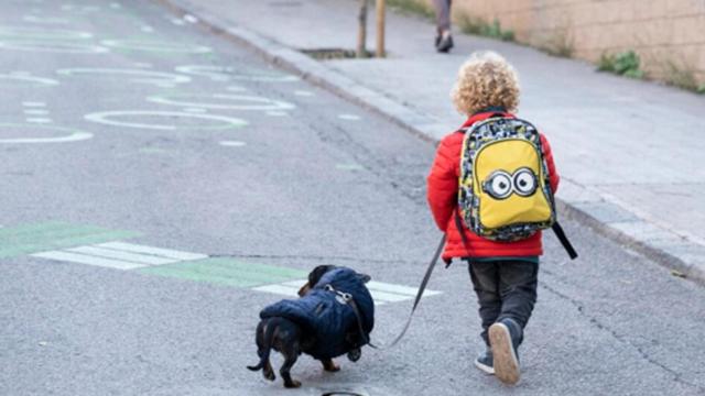 Se reduce un 40% el número de atropellos en entornos escolares en Barcelona / AJUNTAMENT DE BARCELONA