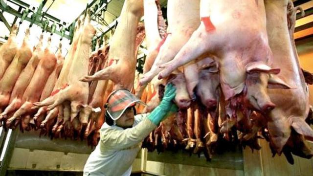 Un operario manipula carne de cerdo / EFE