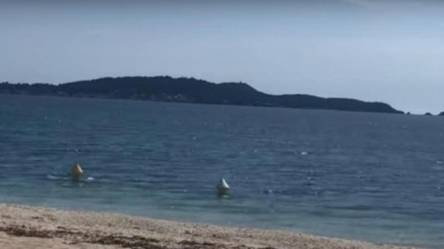 Dos bañistas se hacen pasar por boyas para bañarse en el mar / YOUTUBE