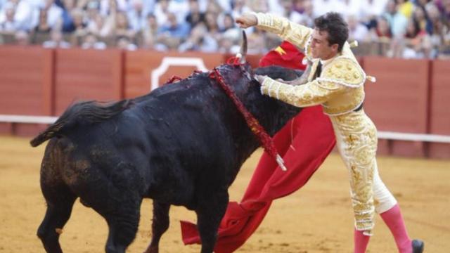 Rafael Serna cuando el toro le ha corneado