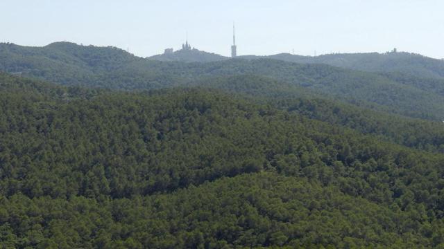 Imagen aérea del parque natural de Collserola / PNC