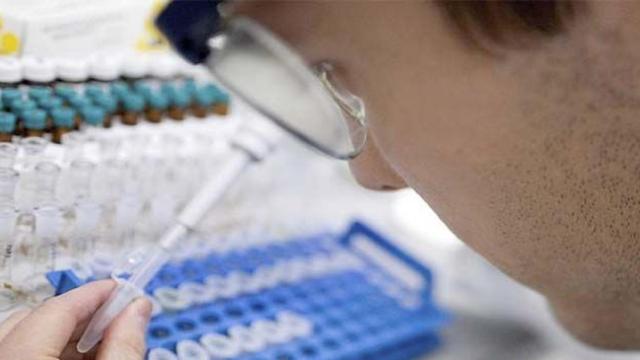 Hombre realizando pruebas en un laboratorio / EFE