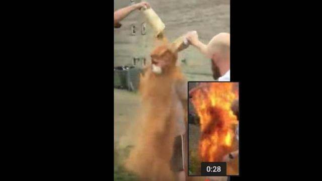 El joven fue rociado con canela y prendió en llamas