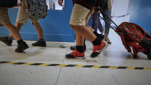 Los niños deben ir al colegio según los pediatras / EP