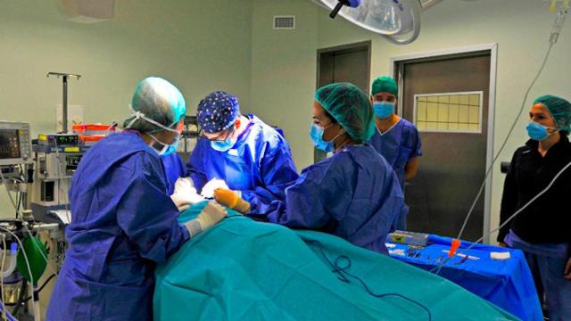 Imagen de una operación en el quirófano de un hospital / EFE