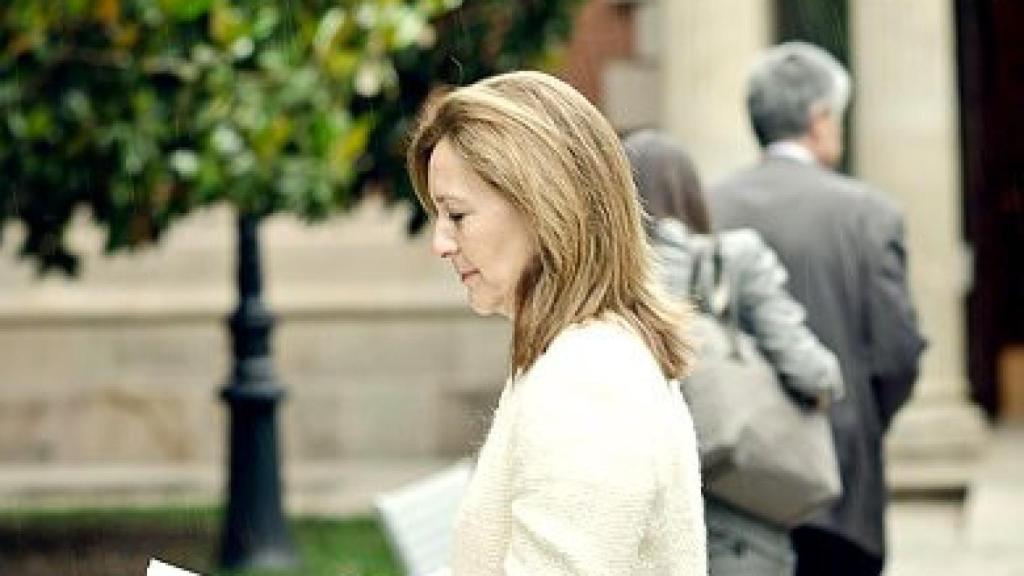 Mejías, en el Parlamento autonómico