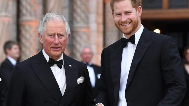 Los príncipes Carlos y Harry / EFE