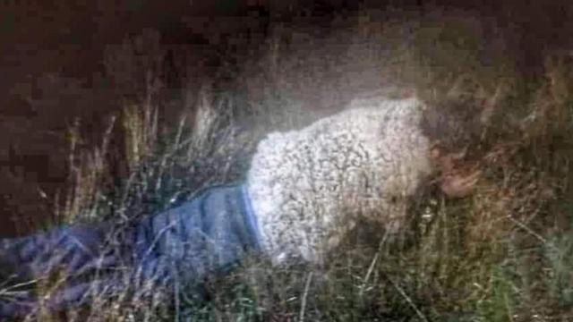 El hombre disfrazado de oveja en el pasto / REDES