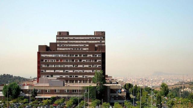 Vista del Hospital Germans Trias i Pujol de Badalona, conocido como Can Ruti / EP