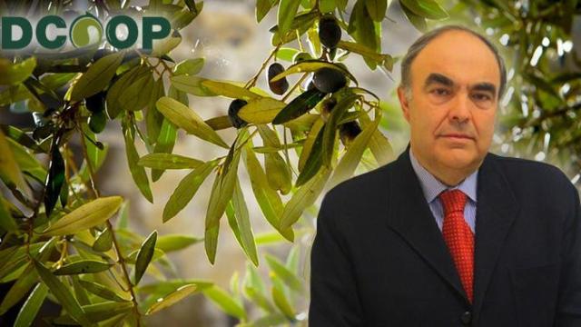 Antonio Luque, presidente de la cooperativa Dcoop / CG