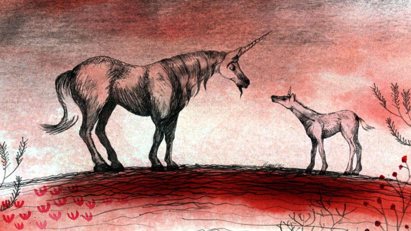 18º Festival de Animación ANIMAC - Sangre de Unicornio