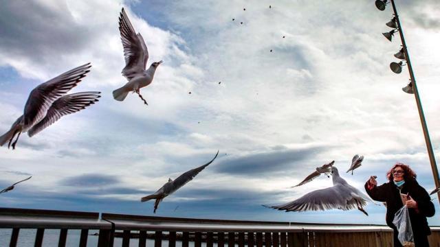 Una mujer alimenta gaviotas en la playa de Barcelona este martes, una de las imágenes del día / ENRIC FONCUBERTA - EFE