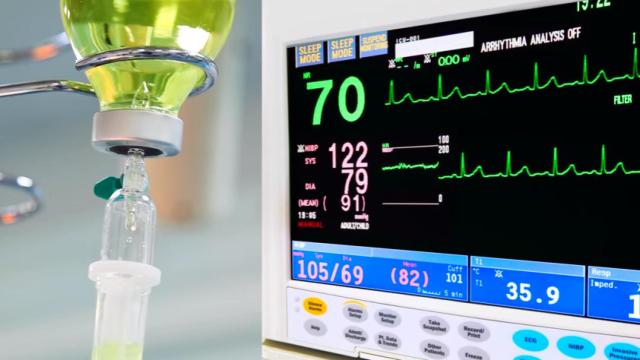 Las empresas de la 'inmortalidad' buscan su mercado en España