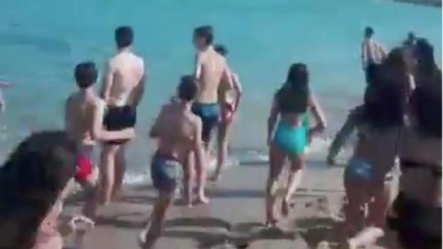 Captura del momento en que los bañistas se asustan por la presencia de un supuesto tiburón en Mataró